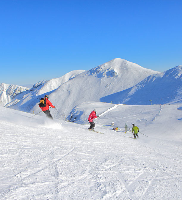 Hotel Le Panorama - Activités en hiver, ski